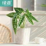 Реалистичное украшение для ногтей, пластиковый цветочный горшок, скандинавский стиль