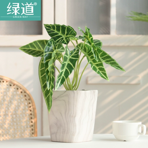 Реалистичное украшение для ногтей, пластиковый цветочный горшок, скандинавский стиль