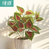 Зеленое симуляция завода стена бегония зеленая растительная стена с травяной стеной с комнатой зеленое украшение балконы телевизионная фоновая стена