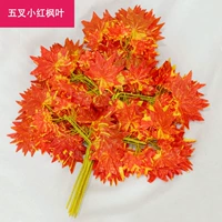 Пять форм маленький красный кленовый лист-12