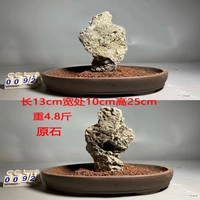 Райс Белый 0092