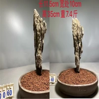 Цветочный 0060