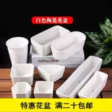 Белый керамический свежий милый цветочный горшок, комплект