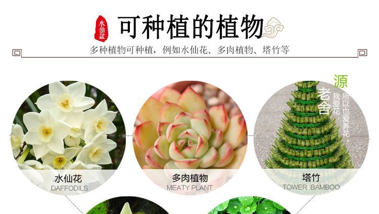 Old ceramic flower pot expressions using circular viewing vessel interior basin of lotus goldfish bowl lotus flower shallow expressions using water