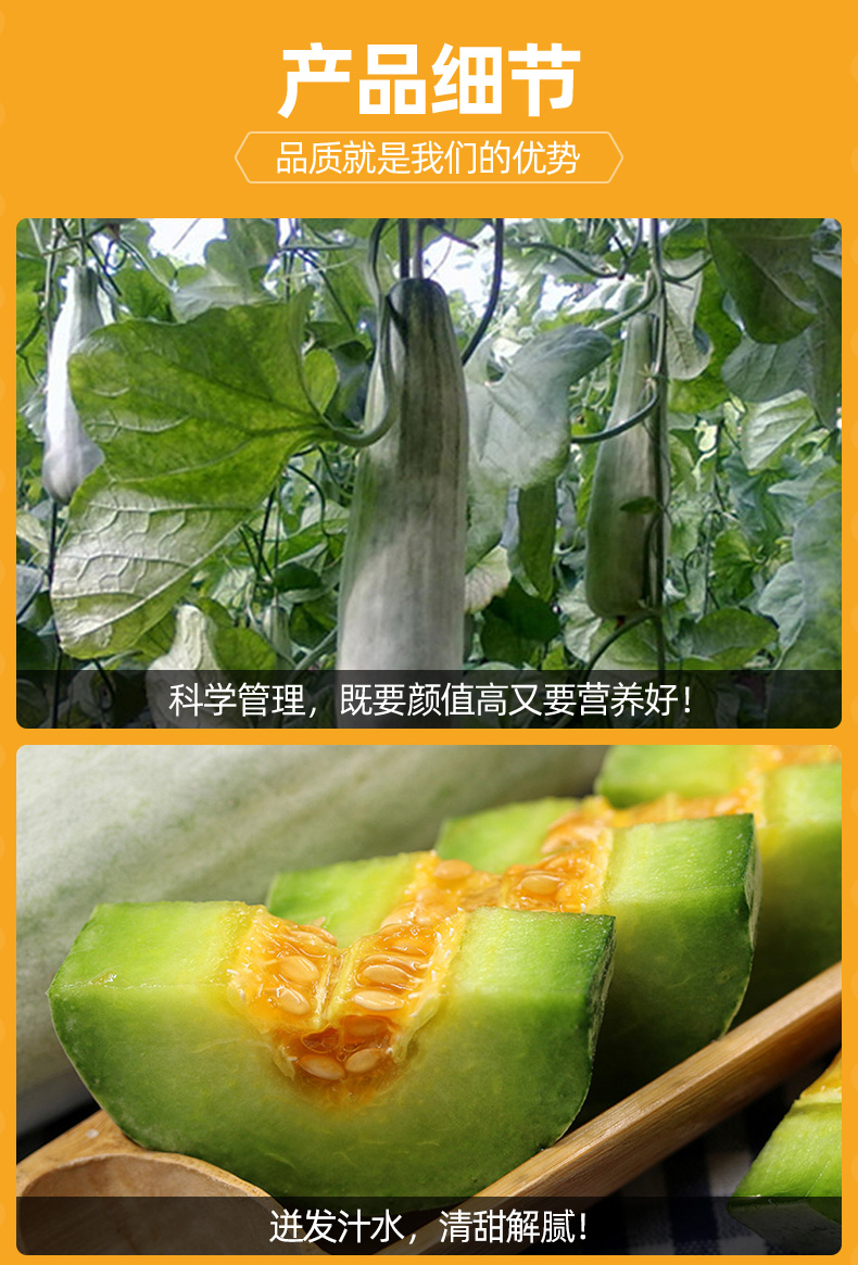 菜鸟自营品牌 挑枣儿 山东潍坊羊角蜜甜瓜 3斤（单果300g+）天猫优惠券折后￥28.8包邮