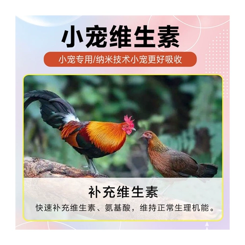 Электролитическая черепаха Duowei Ru Ding, кроличьи птицы, крысы, мышиный питомец -электролитический зверь витамин