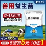 Живые бактерии Розовые звери, свиная скот, овца, курица, утка, гусь, желудок, устранение пищи, регулируют кишечный тракт, чтобы способствовать пищеварению и увеличению веса веса