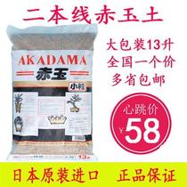 Nihonxian red jade soil succulent plant soil paving stone particles soil deer marsh soil peat perlite leech