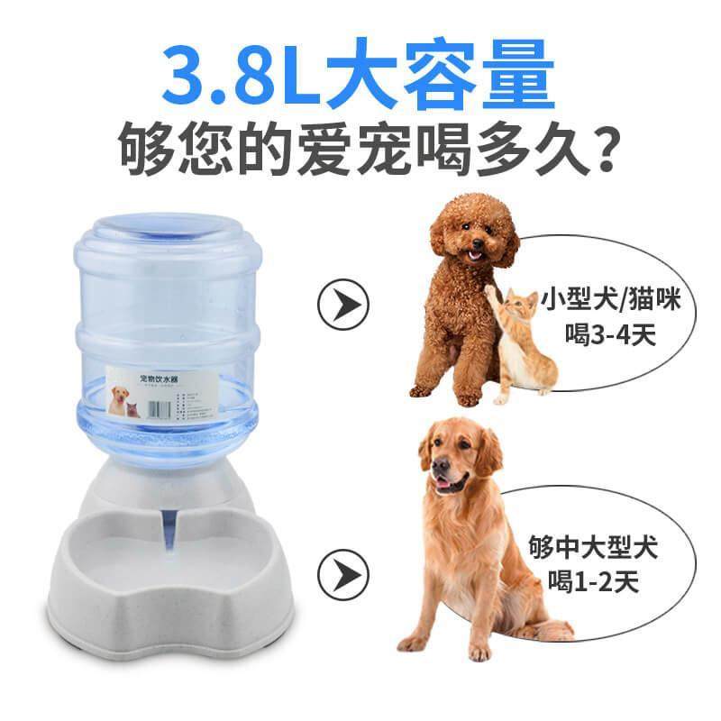 Pet Drinker Kitty Automatic Feeder Dogs Supplies Themselves by Intellectual Drinking Water Drinking Water Drinking Instrumental Cat Bowl