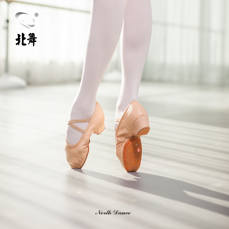 North Dance With Dancing Shoes Women Soft-bottom Practicing Shoelaces With Teacher Shoes Genuine Leather Folk Dance Classical Dance Latin Dance