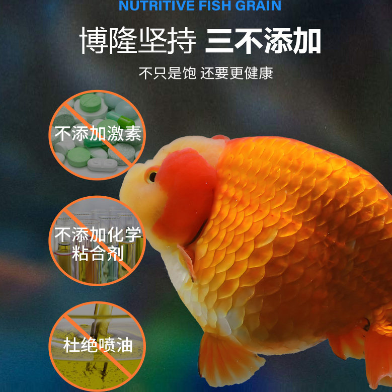 高蛋白金鱼饲料推荐 🐟 - 泰狮兰寿金鱼专用饲料-观赏鱼饲料-淘宝好物网