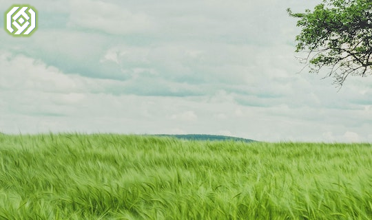 中科云厂ESG实践