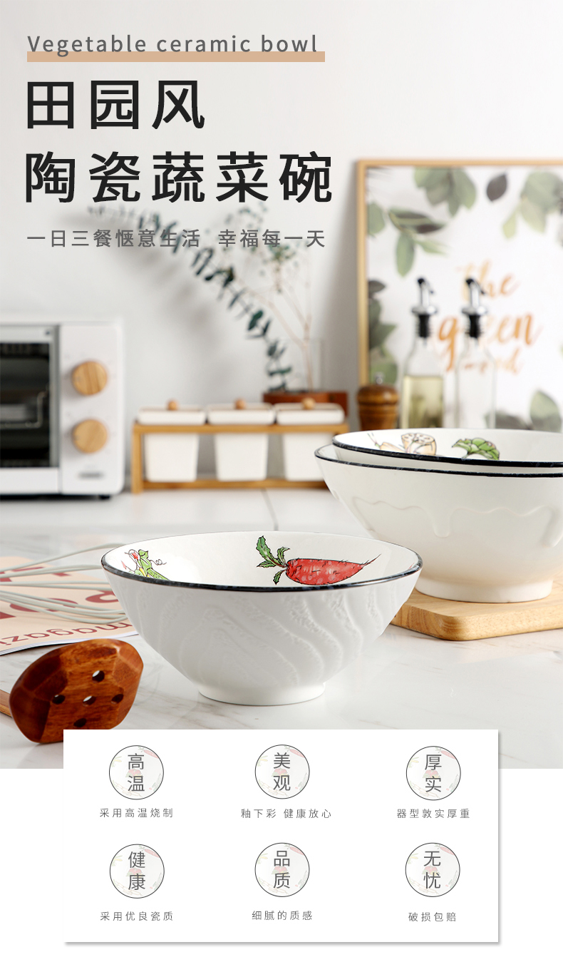 Japanese ceramics big home to eat noodles noodles in soup bowl pull rainbow such use large mercifully rainbow such use salad hat to use a single tableware