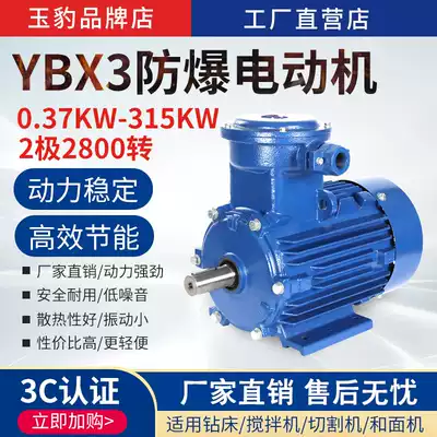 YB3 flameproof type 0 37KW-315KW three-phase 380V High Speed 2 pole 2800 rpm explosion-proof Motor Factory Direct