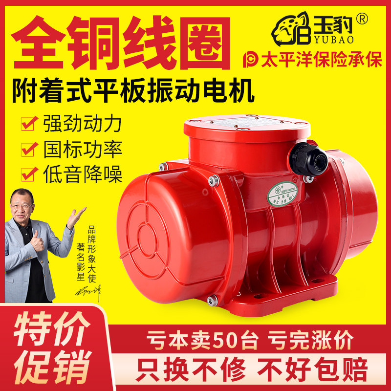 MV50/1-19500/1工业振动电机380v三相异步震动电机下料振动器国标