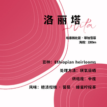 Ethiopia Lolita Fuji Coffee Single Product Coffee Beans 120g