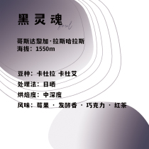 Black soul Costa Rica single coffee bean 120g