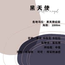 Guatemala Black Angel Fuji Coffee Single-product Coffee Beans 120g