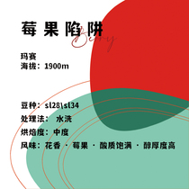 Kenya Masai Fuji Coffee Boutique hand-brewed single-product coffee beans 120g