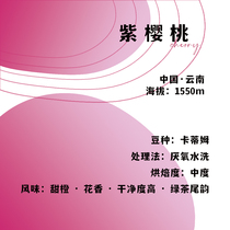 Purple Cherry Yunnan 2 coffee single coffee bean 120g