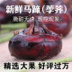 Anhui 1-3 Jin [Jin is equal to 0.5 kg] Fresh water chestnuts, water chestnuts, chestnuts, pears, farm fruits and vegetables, red water chestnuts in stock 5 Jin [Jin is equal to 0.5 kg]