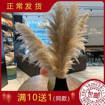 Reed bouquet floor-to-ceiling wheat ear real flower net red decoration soft dried flower window display Nordic wedding diyins