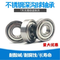 Precision stainless steel bearings S6300 S6301 S6302 S6303 S6304 S6305 S6306Z ZZ