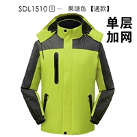 1510 фруктовых зеленых в сети