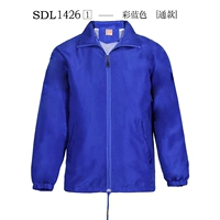 1426 Color Blue-Internet