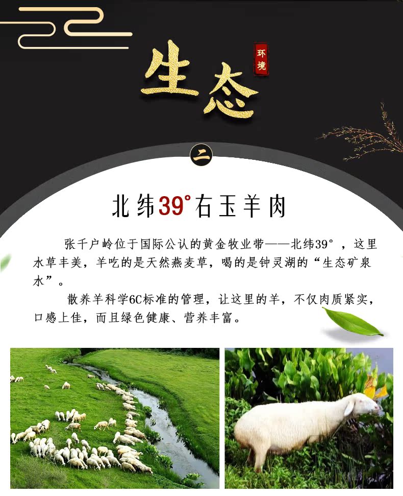 右玉牧场直发 千户侯 半只羊 20斤 图3
