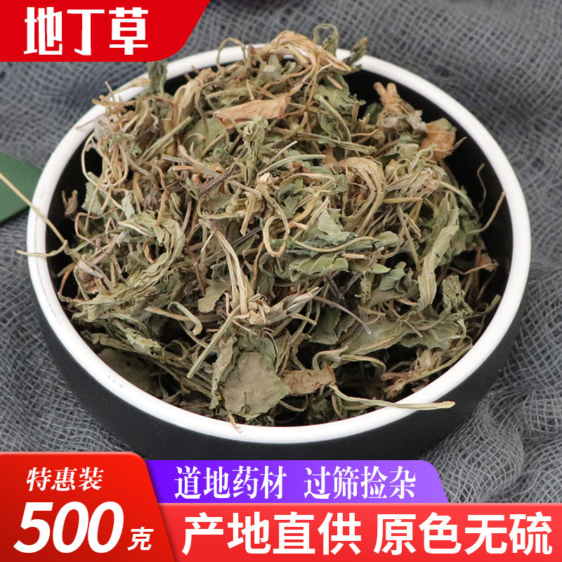 Chinese herbal medicine Purple Flower Tinder 500g gram Zhengzong No wild Purple Flowering Ground Tinggrass Bitter Tinggrass Fresh Dry Goods