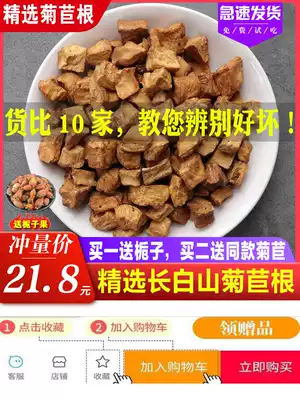Chicory root 500g Chinese herbal medicine non-wild bitter magnolia root urination Pueraria Mirifica Gardenia Lily Dandelion