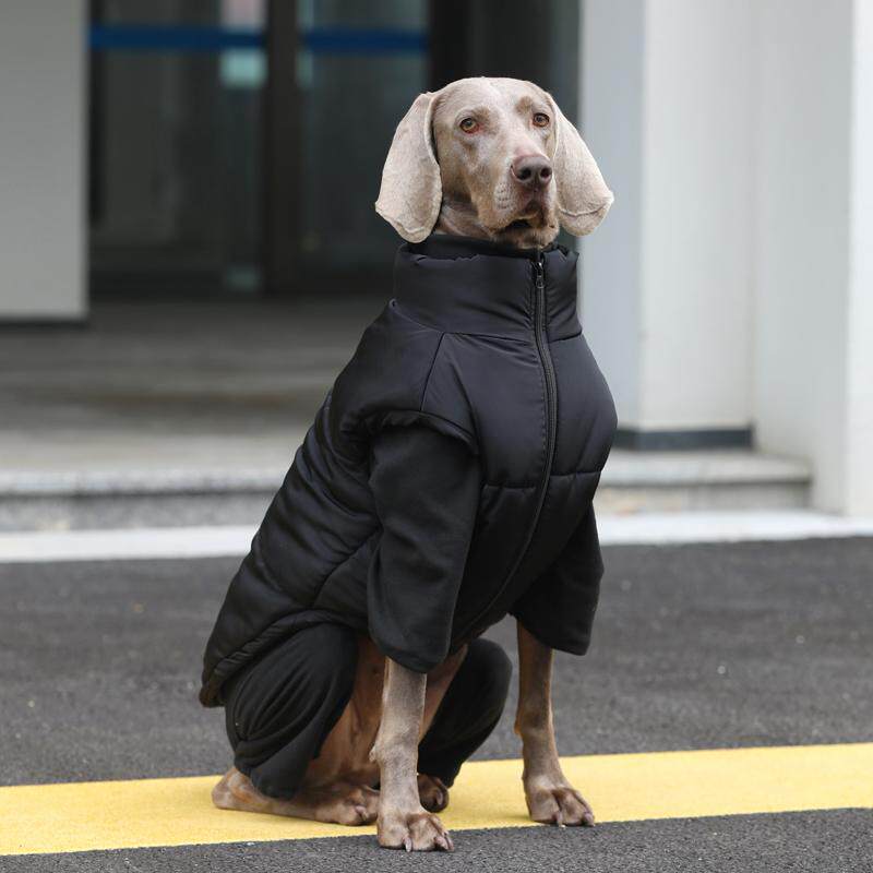🐾 A must-have for autumn and winter! big dog heattech vest keeps your ...