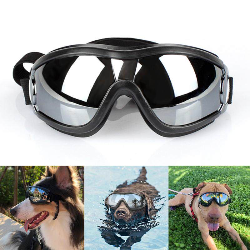 namsan pet glasses pooch sunglasses waterproof and resistant UV gold hair samo midsize dog pooch sunglasses