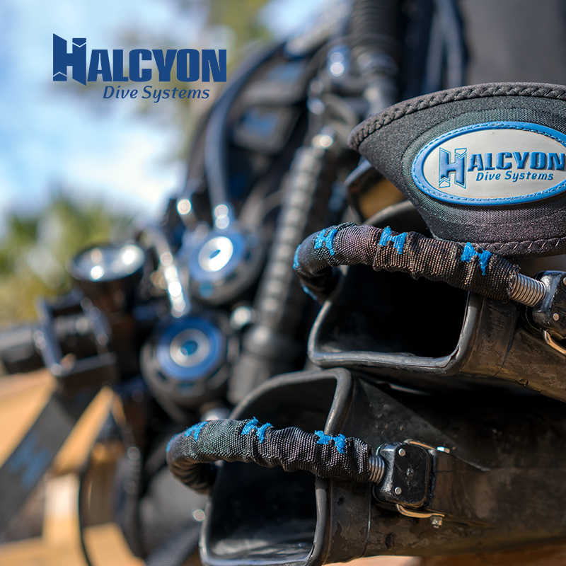 HALCYON Spring Heel Straps Jetfin Spring Belt Comfortable Replacement pair for sale