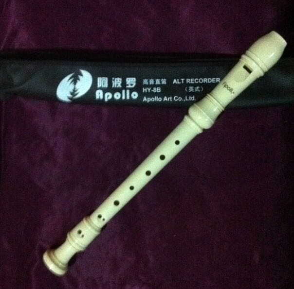 Factory store direct sale Apollo HY-8B baroque 304 recorder English recorder C tune