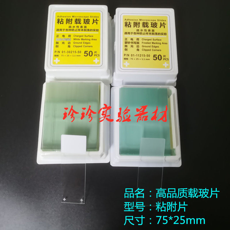 病理防脱粘附载玻片 高品质组织正电荷处理 免疫组合病理50片一盒