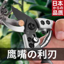Japan Seiko special fruit tree pruning scissors for cutting branches gardening flower scissors pruning branches thick branch pruning scissors