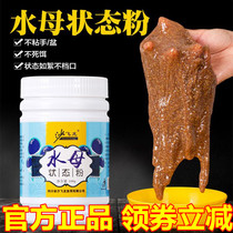 Sand Fly Dragon Jellyfish State Powder Bait Water Pull Bait Jellyfish Wire Drawing Powder Fishing Laredworm Millet Frozen Bait Vanxing