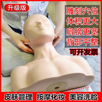 Done management beauty salon massage face mold shoulder belt wash skin half-body model model die head