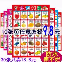 Infant early childhood education silent wall chart literacy pinyin wall stickers children learning map kindergarten decorative painting new product