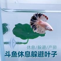 TAO sleeping leaf bed small rest spawning simulation aquatic plants fish tank landscaping decoration betta leaves lazy people hiding leaves