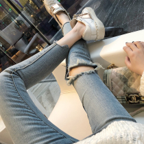 Pregnant women pants spring and autumn thin fashion tattered hole cotton pregnant women jeans leggings ankle-length pants spring and autumn