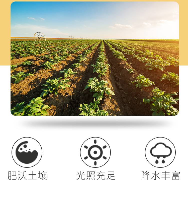 Картофельная деталь_05.jpg