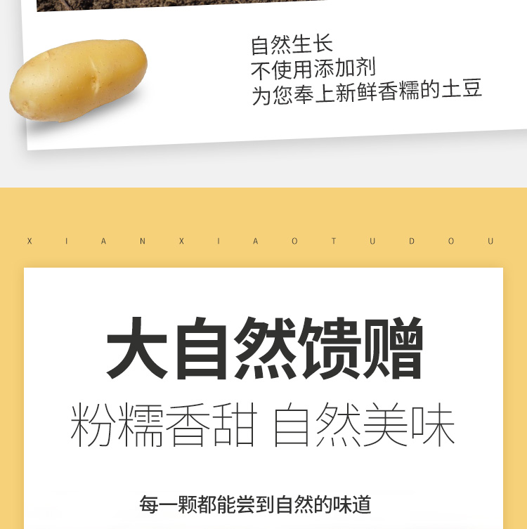 Картофельная деталь_08.jpg