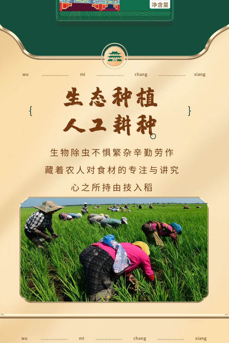 安享好物 安享A级粳米-五米常香生态 五常大米 国标 