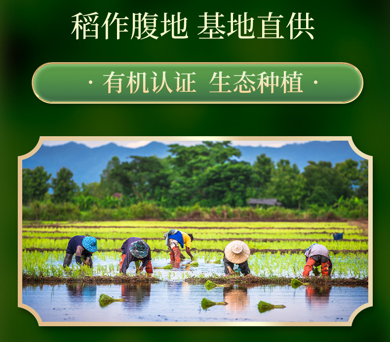 安享好物 安享S级粳米-五米常香有机五常大米 国标 
