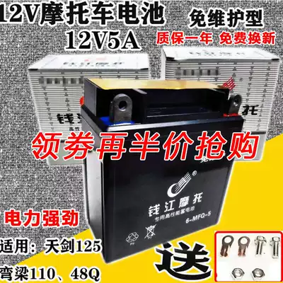Power-assisted locomotive battery Mountain leaf 125 Tianjian light riding race Chi 110 universal flower cat bending beam battery 12v5a