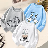 C160 White+C242 Grey+C272 Blue