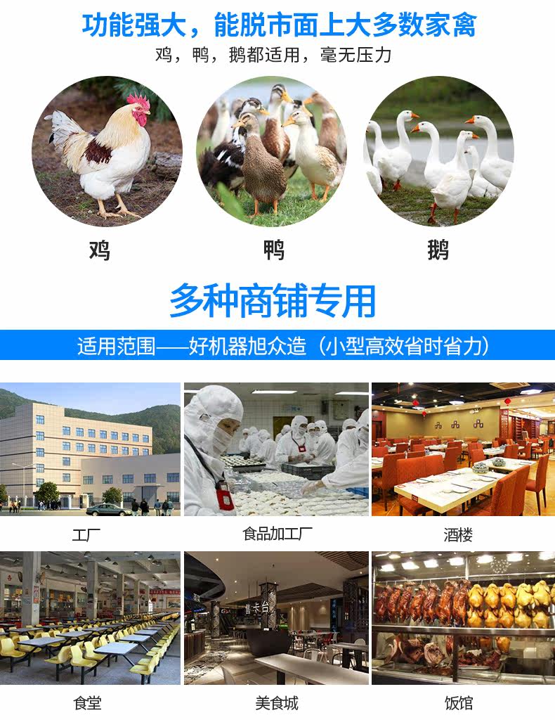 Goose duck -type wabies 790 Подробности Page_13.jpg